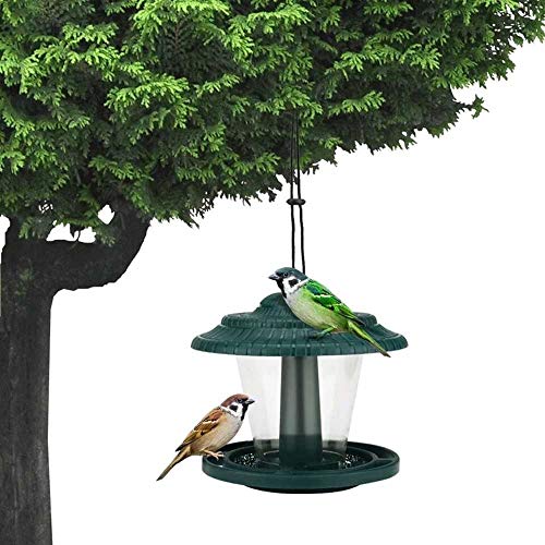 Tragbarer Plastikhänge -Vogelhäuschen, Dach, Tablettstil, Pavillon -Formvogelfutterhäusch von UPALDHOU