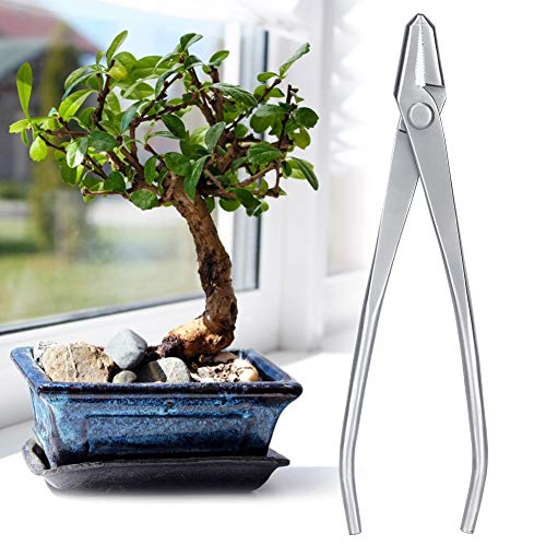UPALDHOU Bonsai Modeling -Werkzeug Edelstahl -Knopfschneider für Kleine Pflanzen Ergonomische Griffe Gartenpflege Geeignet UPALDHOU Bonsai Modeling -Werkzeug Edelstahl -Knopfschneider für Kleine Pflanzen Ergonomische Griffe Gartenpflege Geeignet von UPALDHOU