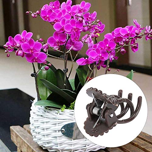 UPALDHOU Gartenpflanze Klemme/Halter Orchideenstamme Fixieren von Stützclips Nachhaltiges Werkzeug für Blumenmarkt Pflanzanlagen (Brown) von UPALDHOU