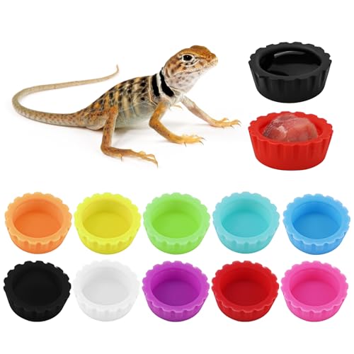 Bunte Gecko-Futternäpfe mit Haube, wiederverwendbar, kleine Reptilien-Futter- und Wassernäpfe für Schopfen, Schildkröten, Krabben und kleine Haustiere, 10 Farben, 10 Stück Bunte Gecko-Futternäpfe mit Haube, wiederverwendbar, kleine Reptilien-Futter- und Wassernäpfe für Schopfen, Schildkröten, Krabben und kleine Haustiere, 10 Farben, 10 Stück von UPIQNG