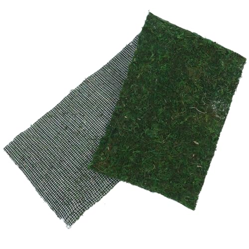 UPKOCH 1 Rolle Künstliches Moos Moosmatte Sphagnum Fälschung Moosteppich Kunstmoos Für Zimmerpflanzgefäße Künstliches Grünes Moos Realistischer Grasteppich Gefälscht Green von UPKOCH