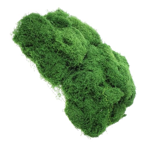 UPKOCH 1 Set Künstliches Moos Echtes Bastelmoos Dekoratives Gefälschtes Moos Faux Moss Gefälschte Outdoor Pflanze Pflanzen Moosteppichmaterial Moospflanze Moos Zum Basteln Indoor von UPKOCH
