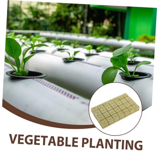 UPKOCH 28 Stück Teiliges Hydroponisches Steinwolle Anzuchtwürfel Für Pflanzenvermehrung Innenbereich Gartenbedarf Für Stecklinge und Umpflanzen Mit Optimaler Feuchtigkeits UPKOCH 28 Stück Teiliges Hydroponisches Steinwolle Anzuchtwürfel Für Pflanzenvermehrung Innenbereich Gartenbedarf Für Stecklinge und Umpflanzen Mit Optimaler Feuchtigkeits von UPKOCH