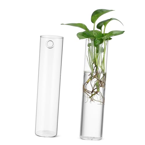 UPKOCH 2stücke Glaszylinder Zum Aufhängen Wandpflanzgefäße Aus Klarglas Hängende Pflanzenterrarien Für Zimmerpflanzen Transparente Vasen Für Innenbereich Heimdekoration von UPKOCH