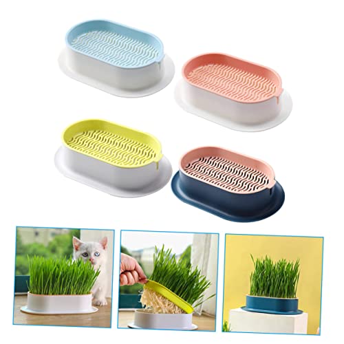 UPKOCH 4 Stück Teiliges Katzengras Hydroponischer Pflanzkasten für Zuhause Langlebige Kunststoff Boxen Grün Blau und Weiß Nährstoffreiches Wasser für Schnelles Wachstum Pflegeleicht und von UPKOCH