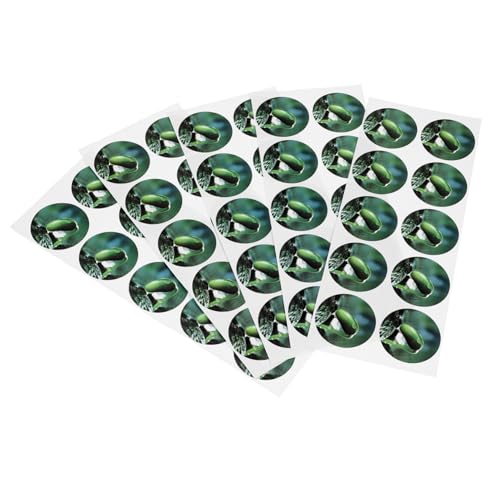 UPKOCH 5 Blätter Teiliges PVC Pflanzenschilder Rund Wasserfest Selbstklebend für Hydroponik und DIY Pflanzenbeschriftung Langlebig Stark Haftend für Garten Gewächshaus und Indoor UPKOCH 5 Blätter Teiliges PVC Pflanzenschilder Rund Wasserfest Selbstklebend für Hydroponik und DIY Pflanzenbeschriftung Langlebig Stark Haftend für Garten Gewächshaus und Indoor von UPKOCH