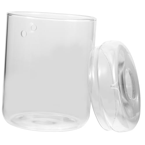 UPKOCH Glas Terrarium Pflanzgefäß Mikrolandschaft DIY Flasche Klarer Glasflakon für Moos Sukkulenten Dekoratives für Büro und Zuhause Vielseitige Mini Pflanzen Deko von UPKOCH