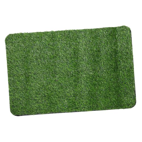 UPKOCH Künstliche Gras Fußmatte rutschfeste Türmatte für Innen und Außen als Eingangsbereichsmatte oder Haustiermatte Realistische Pflegeleicht Garten oder Restaurant UPKOCH Künstliche Gras Fußmatte rutschfeste Türmatte für Innen und Außen als Eingangsbereichsmatte oder Haustiermatte Realistische Pflegeleicht Garten oder Restaurant von UPKOCH
