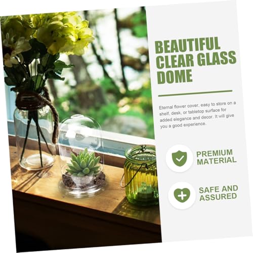 UPKOCH Micro Landscape Flasche DIY Pflanzglas Terrarium mit Öffnung Transparentes Glas für Mikro ökologische Landschaften Wohn Tischdekoration Einfache Reinigung und Natürlicher Stil von UPKOCH
