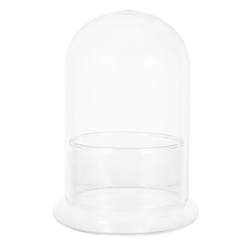 UPKOCH Micro Landscape Terrarium Glasflasche Höhe Hydrokultur Pflanzgefäß für Moos DIY Ökosystem Raumspartaugliches Durchsichtiges Glas Terrarium für Kleine Pflanzen und Moos von UPKOCH