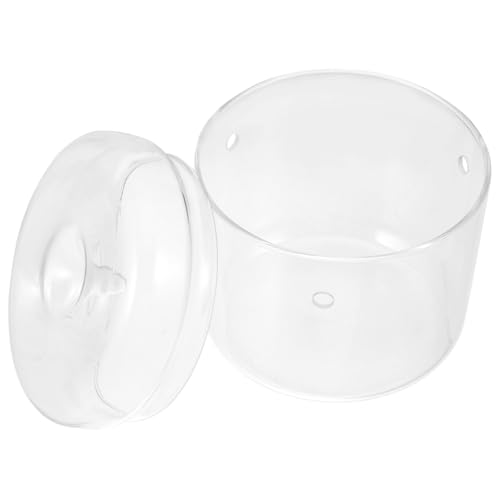 UPKOCH Mini Terrarium Glasflasche für DIY Mikrolandschaft Ökologischer Pflanzenbehälter aus Robustem Transparenter Landschaftsflakon für Sukkulenten und Moos Dekoratives Tischdisplay von UPKOCH