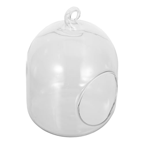 UPKOCH Mini Terrarium mit Moos Kleines Offenes Luftpflanzgefäß DIY Mikrolandschafts Deko für Büro Tisch und Pflegeleichtes Pflanzenterrarium von UPKOCH
