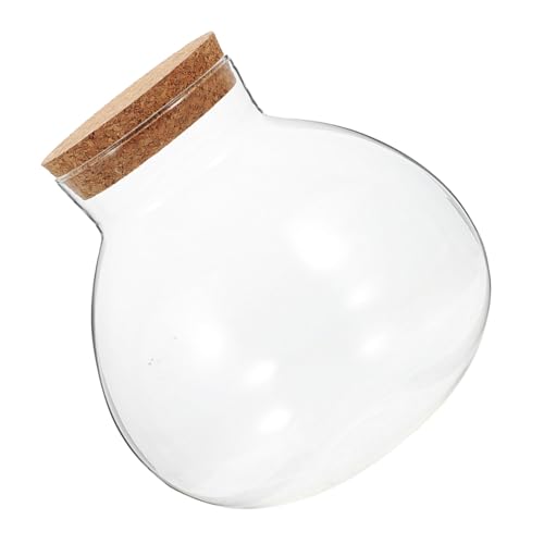UPKOCH Ökologische Mikrolandschaftsflasche Ökosystemflasche Moos-landschaftsbauflasche Luftpflanzenglas Saftiges Terrarium Dekoratives Glas Knospenglas Nachrichtenglas Kork Transparent UPKOCH Ökologische Mikrolandschaftsflasche Ökosystemflasche Moos-landschaftsbauflasche Luftpflanzenglas Saftiges Terrarium Dekoratives Glas Knospenglas Nachrichtenglas Kork Transparent von UPKOCH