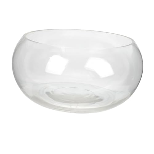 UPKOCH Transparente Fischschale aus Runde Hydroponik Pflanzenschale für Desktop Dekoration für Kleine Fische Pflanzen Büro Accessoire Durchmesser UPKOCH Transparente Fischschale aus Runde Hydroponik Pflanzenschale für Desktop Dekoration für Kleine Fische Pflanzen Büro Accessoire Durchmesser von UPKOCH