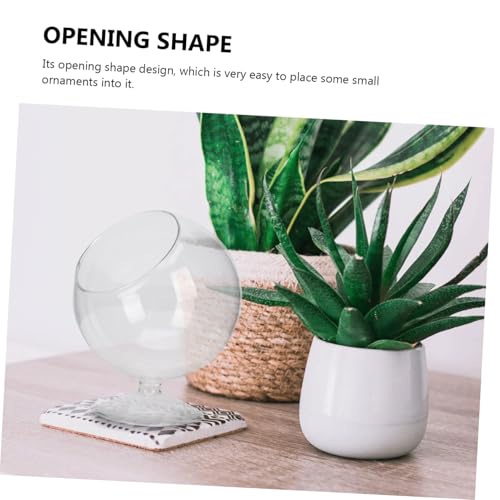 UPKOCH Transparente Mikrolandschaft Glasflasche Hochborosilikatglas Wasserkultur Pflanzgefäß für Sukkulenten und Miniaturpflanzen UPKOCH Transparente Mikrolandschaft Glasflasche Hochborosilikatglas Wasserkultur Pflanzgefäß für Sukkulenten und Miniaturpflanzen von UPKOCH