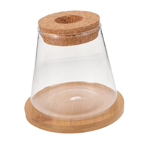 UPKOCH Transparenter Glasfischbehälter mit Holzdeckel Kleine Runde Hydroponik Vase Dekoratives Aquarium und Pflanzgefäß Kompakt für Schreibtisch und Terrarium mit Bambusmatte von UPKOCH