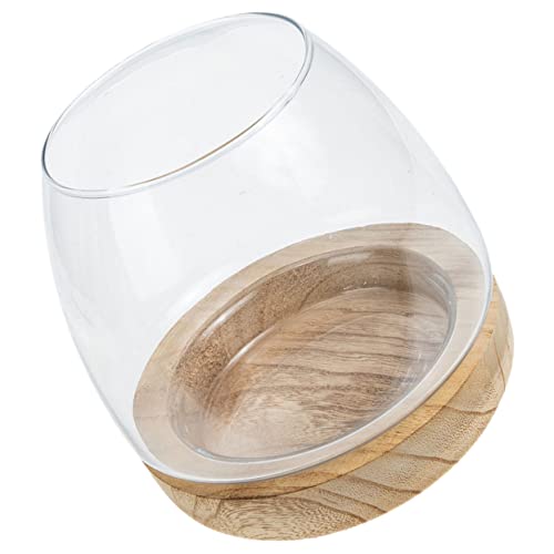 UPKOCH Transparentes Aquarien Multifunktionale Betta und Goldfisch Aquarium für Schreibtisch für Büro und Zuhause Langlebig und Praktisch von UPKOCH