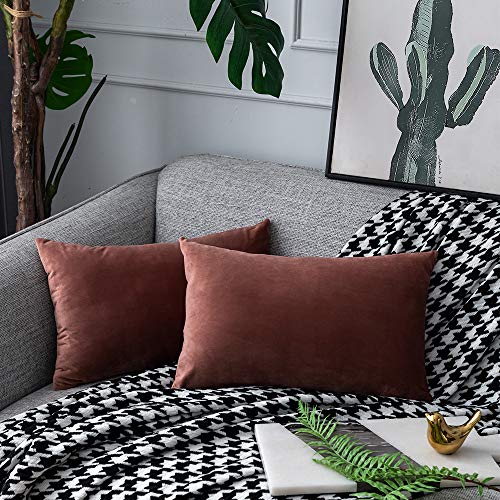 UPOPO 2er Set Samt Kissenbezug Dekorative Einfarbig Kissen Weich Kissenhülle Kissenbezüge Dekokissen Zierkissen Sofakissen für Couch Schlafzimmer Wohnzimmer mit Reißverschlüsse 30 X 50cm Marmeladen von UPOPO