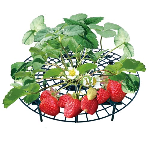 UPP Erdbeerreifer Set | Einstellbarer Fruchtreifer aus Kunststoff | Rankhilfe für Erdbeeren, Gemüse & Blumen | Natürlicher Schneckenschutz | Erdbeergitter schützen vor Fäulnis & Schimmel [5 STK.] von UPP