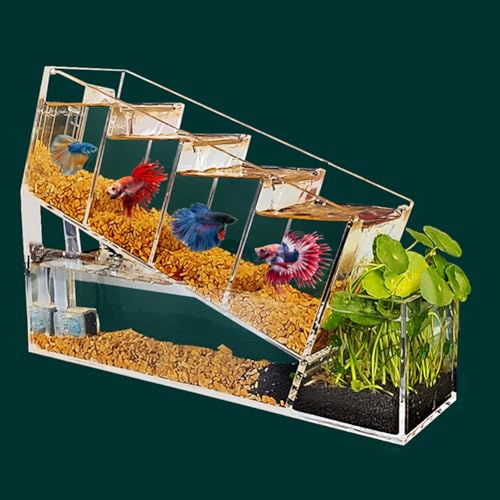UPWONEC Acryl Betta Fischaquarium, Transparentes Betta -Fischtank, Büroschreibtisch -Tisch -Tisch -Fischtank, Moderne Elegante Goldfischschale, Kleiner Fischtank Mit Filtersystem von UPWONEC