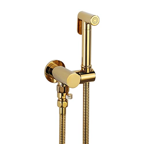 UQACHG Hand-WC-Bidet-Sprühgerät, massives Messing, Dusch-Set, Badezimmer, verdeckter einzelner Kaltwasser-Bidet-Wasserhahn mit Schwenkhalter, Titangold, B, A von UQACHG