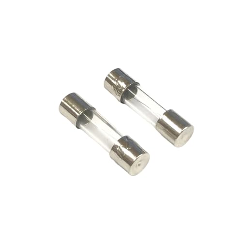 10 Pcs Glass Tube Fuse 5x20 6x30mm 0.1A 0.2A 0.5A 1A 2A 3A 4A 5A 6.3A 8A 10A 12A 15A 20A 30A 25A 250V Fast Blow Fuses Fusibles(20A,5x20mm) von UQOOHKBCU