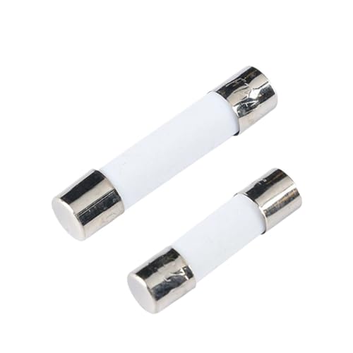 10 STÜCKE 5 * 20mm flinke Keramiksicherung 5x20mm 250 V 1A 2A 3A 4A 5A 6A 10A 15A 20A 6 * 30mm Rohrsicherung Assorted Kit(2A,10Pieces 5 x 20MM) von UQOOHKBCU
