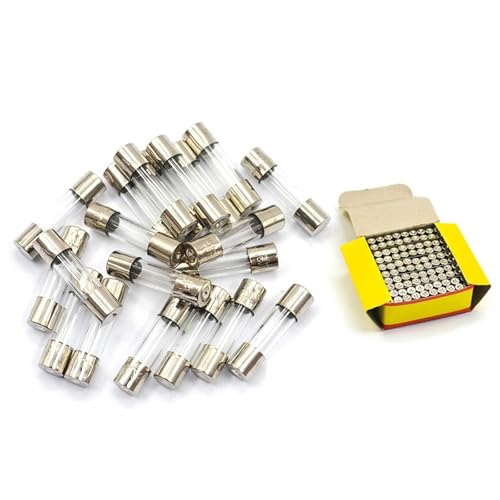 100 stücke 5 * 20 Glas Sicherung Schnelle Sicherung Nicht Sicherung Kit 250V 0,1 A 0,2 A 0,5 A 1A 2A 3A 4A 5A 6A 7A 8A 10A 12A 15A 20A Flink 6X30mm Heißer(3A) von UQOOHKBCU