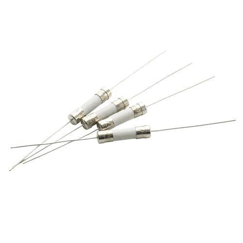 10PCS 5 * 20mm Fast Break Ceramic Fuse Slow Blow Tube Fuse With a pin 5X20MM 250V 0.5A 1 2 3 3.15 4 5 6.3A 7 8 10 12 15 20 25A 30A(2A,Fast break F) von UQOOHKBCU