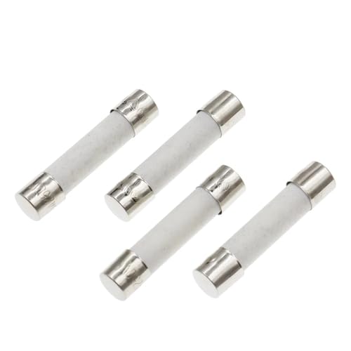 10PCS 5X20MM 6X30MM Fast Blow Ceramic Fuse Tube 250V 0.5 1 2 3 4 5 6 8 10 15 20 25 30A AMP 5 * 20 6 * 30 Slow Down The Car Fuse(2A) von UQOOHKBCU