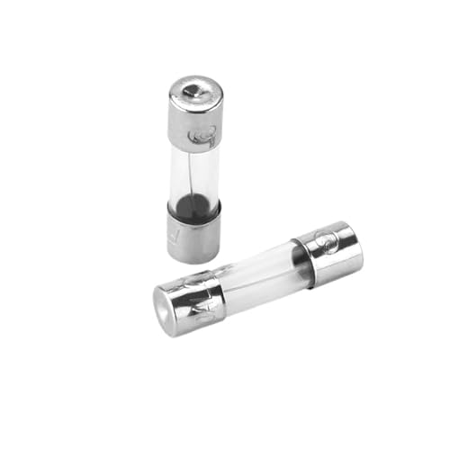 【10PCS】Fuse 5 * 20mm 6x30mm glass fuse F fast break 250V 0.1A 0.2A 0.25A 0.25A 0.5A 1A 2A 3A 4A 5A 10A 15A 25A 30A(5x20mm,25A) von UQOOHKBCU