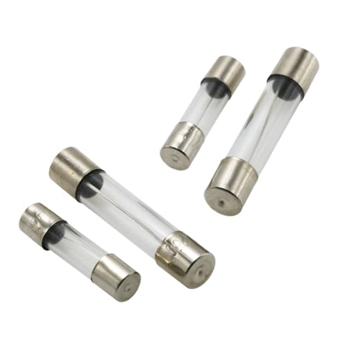 10pcs/lot 5 * 20mm 6 * 30mm Fast Blow Glass Tube Fuses Quick Blow 5x20 6x30 mm 250V 0.5 1 2 3 4 5 6 8 10 15 20 25 30 A AMP Fuse(10A) von UQOOHKBCU