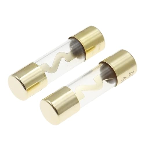 5Pcs Gold Plated Glass AGU Fuse Fuses Pack Car Audio Amp Amplifier 10A 15A 20A 25A 30A 40A 50A 60A 70A 80A 100A Car Fuse(40A) von UQOOHKBCU