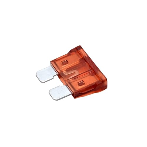 Factory Direct 30 Pcs 40Amp Auto Car Boats Medium Fuse Blade Motorcycle Truck Suv Car Replacement Fuse von UQOOHKBCU