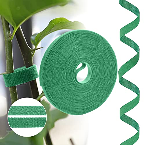 URAQT Pflanzenbinder Klett,10m Grün Wiederverschließbar Pflanzenband Doppelseitige Stützbinder 10mm Selbstklebend Rankhilfe Mehrzweck Pflanzenbinder Wetterfeste Rankhilfe für Pflanzen von URAQT