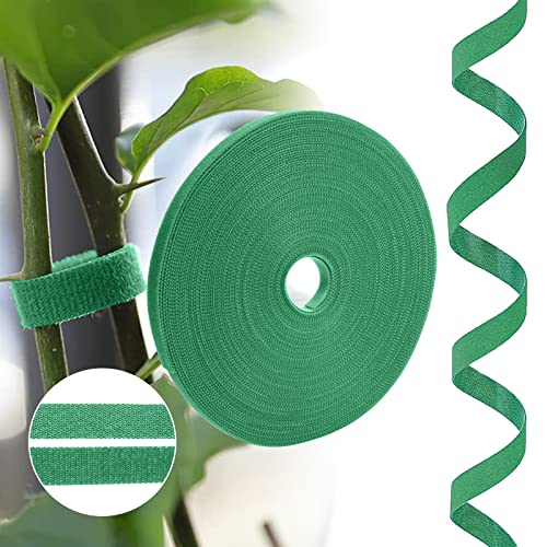 URAQT Pflanzenbinder Klett,20m Grün Wiederverschließbar Pflanzenband Doppelseitige Stützbinder 10mm Selbstklebend Rankhilfe Mehrzweck Pflanzenbinder Wetterfeste Rankhilfe für Pflanzen von URAQT