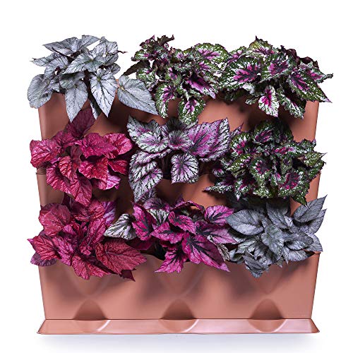 Urban Green Revolution Blumentöpfe Außen L 64 x P 14 x H 57 cm erde von minigarden