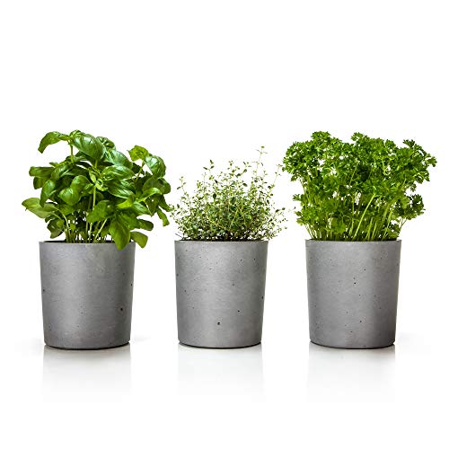 URBANATURE Beton Blumentopf mit Wasserspeicher, Kräutertopf 3´er Set, bis 13 cm Durchmesser, mit Inneneinsatz für Selbstbewässerung von URBANATURE