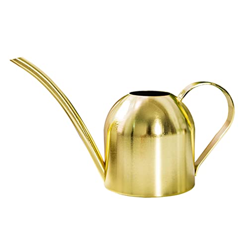 1 x Gießkanne aus Edelstahl, Mini Modern Style, kleine Gießkanne für Pflanzen und Indoor-Sukkulenten, 1000 ml (Gold) von URCheers