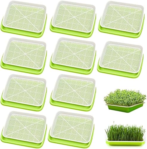 10 Stück Keimung Tablett, 34*25*4cm Kunststoff Samen Keimung Tablett, Pflanzer Hydroponics Seed Sprouter, Soil-Free Seed Sprouter, für Garten Zuhause, für Sämling Pflanzen Weizen Baumschule Ideal von URCheers