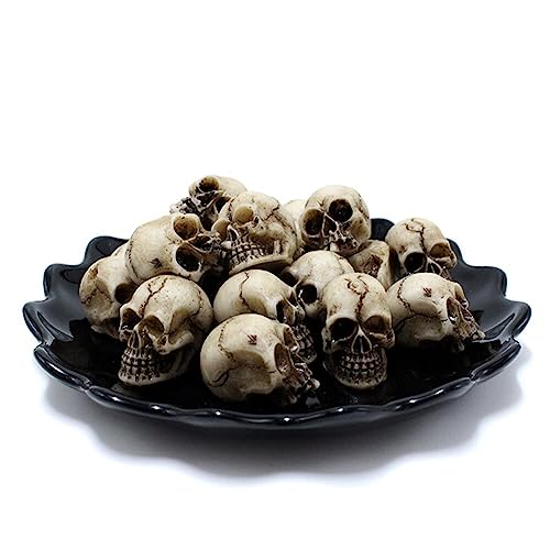 20 Stück Mini Totenkopf Model Schädel Kopfskulpturen Halloween Skelett Harz Schädel Mini Schädel Figure Blumentopf Totenkopf Dekoration für Horror Party Outdoor Haus Garten Landschaft Dekoration von URFEDA