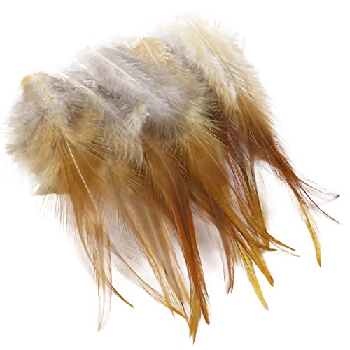 URFEDA 100 Stück Braun Hahnenfedern,Federn Basteln,14-20CM DIY Bastelfedern für Bastelprojekte Traumfänger DIY Ohrringe Faschingskostüme Party Hüte Masken Schmuckstücke Ostereier Deko Fasanfedern URFEDA 100 Stück Braun Hahnenfedern,Federn Basteln,14-20CM DIY Bastelfedern für Bastelprojekte Traumfänger DIY Ohrringe Faschingskostüme Party Hüte Masken Schmuckstücke Ostereier Deko Fasanfedern von URFEDA