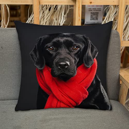 Kissenbezug Zierkissenbezug Dekorative,Labrador Retriever-Hund, der einen roten Schal trägt, schwarz und rot,Dekokissen Deko mit Verstecktem Reißverschluss für Sofa Büro Bett 45x45 cm von URSOPET