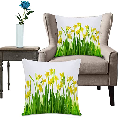 Kissenhülle Super Weich Home Decoration,Heimdekoration,Narzissen-Dekoration, Narzissen- und Narzissen-Bündel, Aprilblumen, Feldsamen, natürliche Dekorat,Pillowcase Sofakissen für Wohnzimmer Sofa Bed von URSOPET