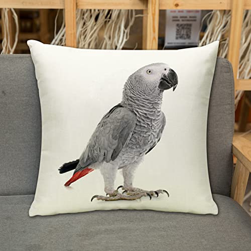 URSOPET Kissenbezug Zierkissenbezug Dekorative,Afrikanisches Grau-Papagei-Tier-Vogel-Porträt,Dekokissen Deko mit Verstecktem Reißverschluss für Sofa Büro Bett 45x45 cm von URSOPET