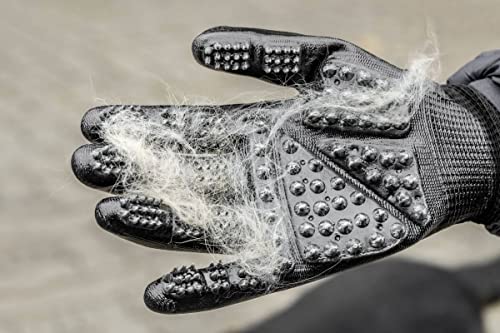 Putzhandschuhe, schwarz von USG