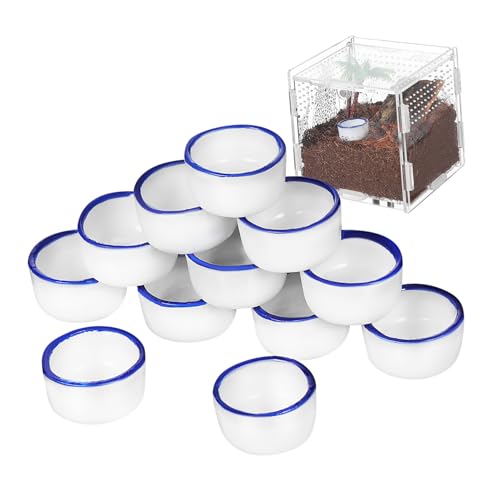 UTHCLO 12 Stück Teiliges Mini Keramik wasserbecken für Kleine Kriechtiere Rutschfester Futternapf mit Glatter Oberfläche Sicherer Trinkbehälter für Vogelspinnen Geckos und Schildkröten UTHCLO 12 Stück Teiliges Mini Keramik wasserbecken für Kleine Kriechtiere Rutschfester Futternapf mit Glatter Oberfläche Sicherer Trinkbehälter für Vogelspinnen Geckos und Schildkröten von UTHCLO
