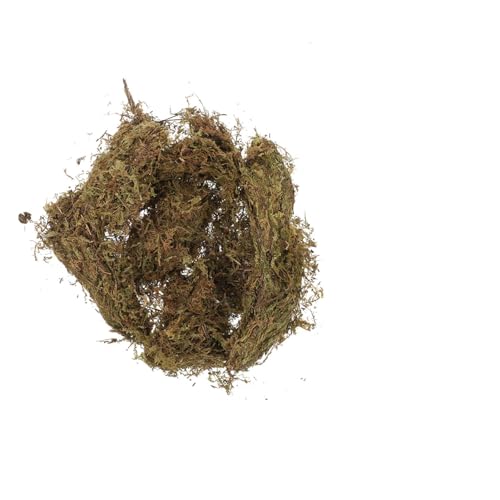 UTHCLO 2 Packungen Natürliches Getrocknetes Moos und Flechte für DIY Garten Dekoration Weiches Polstermoos für Blumentöpfe Terrarien und Hamster einstreu Pflegeleicht und Vielseitig von UTHCLO
