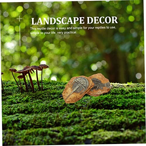 UTHCLO 2 Stück Reptilien Dekoration Teiliges Resin Fossil für Terrarien Natürliche Geeignet für Eidechsen Geckos Schildkröten und Kleine Reptilien Platzsparend und Leicht UTHCLO 2 Stück Reptilien Dekoration Teiliges Resin Fossil für Terrarien Natürliche Geeignet für Eidechsen Geckos Schildkröten und Kleine Reptilien Platzsparend und Leicht von UTHCLO