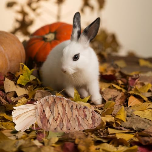 UTHCLO 3 Stück Teiliges Karotten kauspielzeug aus Natürlichem Gras für Kaninchen Hamster Meerschweinchen Strapazierfähiges Geruchsfreies Zahnspielzeug zur Zahnpflege und Beschäftigung von UTHCLO
